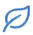 Icône feuille
